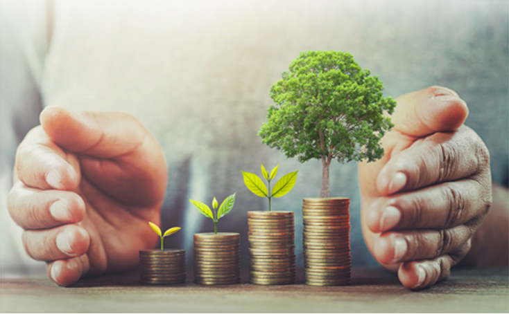 Energieberatung zu Planung und Förderungen